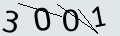verifycode